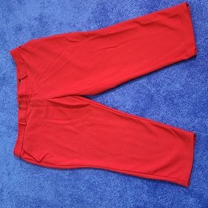 Loft Red pants